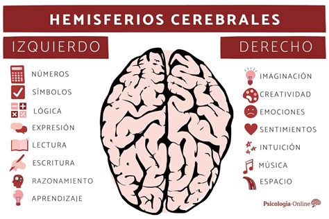 hemisferios cerebrales-4